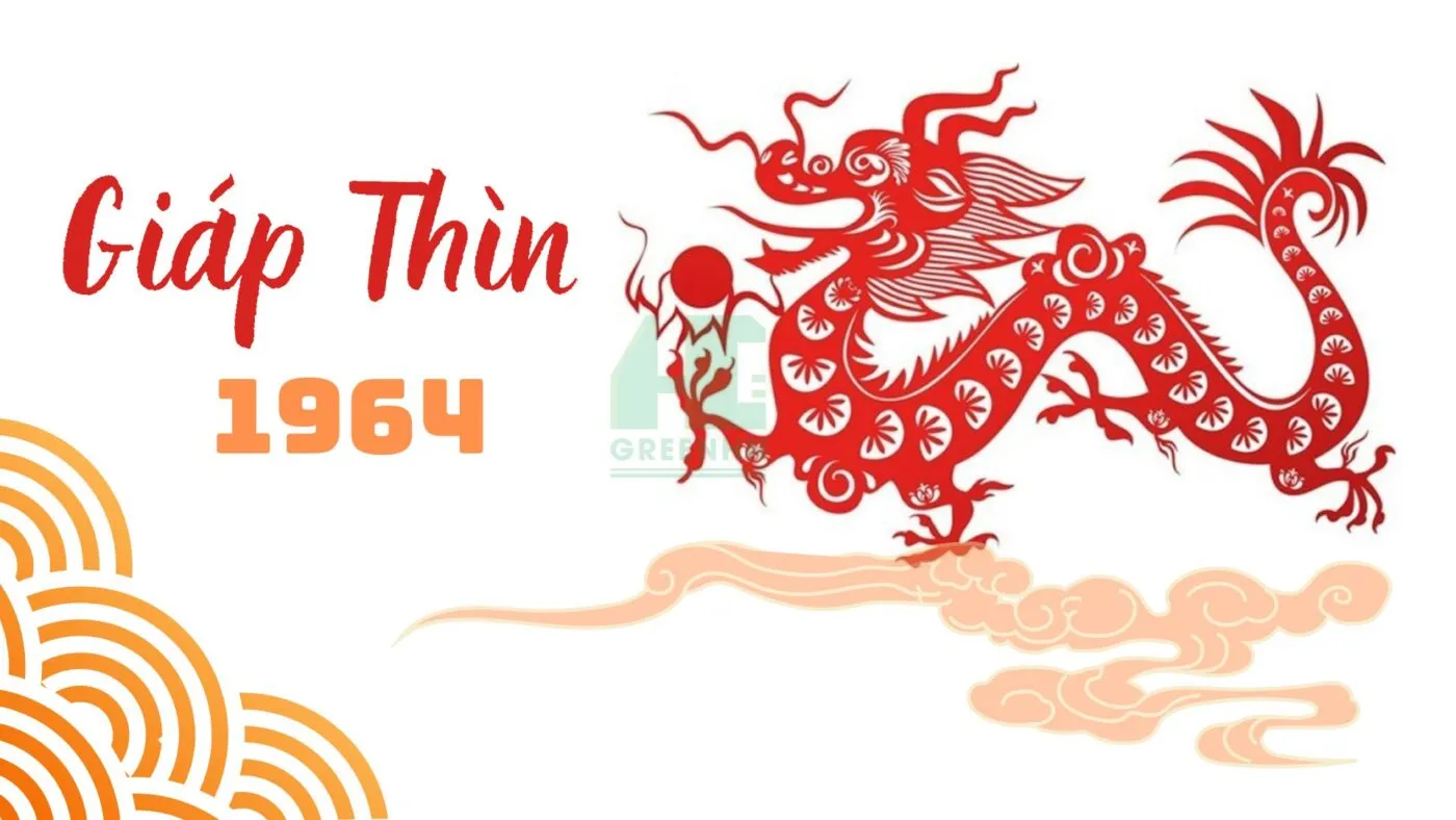 Người sinh năm 1964 cầm tinh con Rồng (Thìn) và mang mệnh Phúc Đăng Hỏa (tức Lửa đèn chụp)